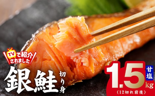 銀鮭 切り身 1.5kg お試し 12切れ前後【TVで紹介 訳あり サイズ不揃い 海鮮 魚介 鮭 さけ しゃけ お弁当 簡単調理】 kgp0007