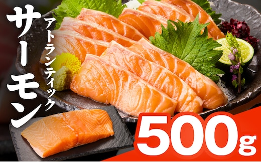 【TVで紹介！】アトランティックサーモン 500g 刺身用ポーション【小分け 真空パック 訳あり サイズ不揃い 刺身 海鮮丼 さーもん 鮭 さけ シャケ しゃけ 冷凍 家計応援】 nbj0003