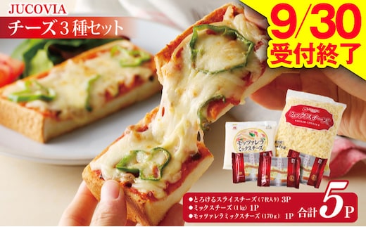 【9/30受付終了】人気チーズ 3種セット【ムラカワチーズ 食べ比べ 普段使い 高評価 ちーず】 010B1637