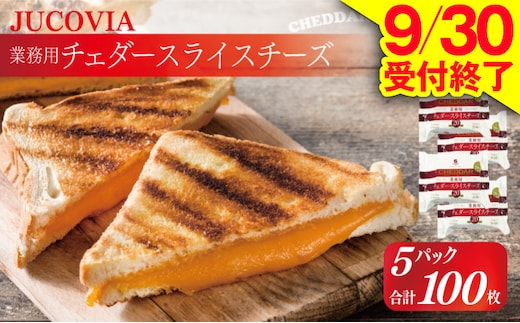 【9/30受付終了】JUCOVIA 業務用チェダースライスチーズ 100枚【ムラカワチーズ 小分け 20枚×5P 普段使い 高評価 ちーず】 010B1639