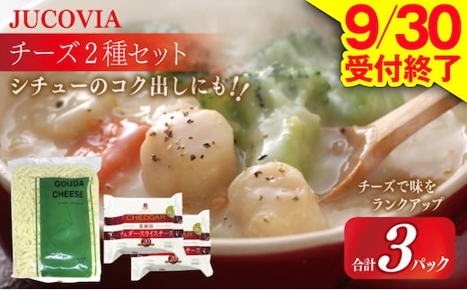 【9/30受付終了】JUCOVIA 業務用 チェダースライスチーズ 20枚×2P・オランダゴーダーシュレッド 1kg×1P【ムラカワチーズ 食べ比べ セット 詰め合わせ 小分け 普段使い 高評価 ちーず】 010B1640