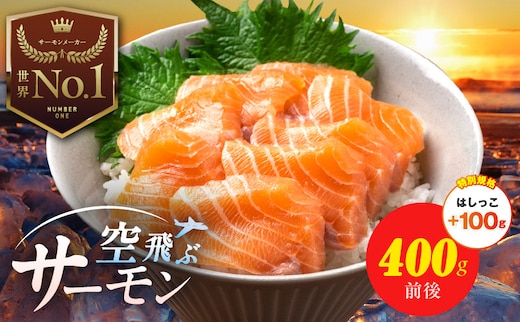 【特別規格】アトランティック サーモン 400g＋はしっこ100g【エコパック 小分け 訳あり サイズ不揃い 刺身 さーもん 冷凍 北国からの贈り物】 010B1647-2