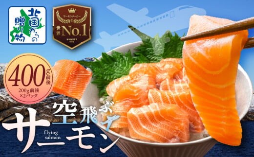 アトランティック サーモン 400g【フィレ エコパック 小分け 200g×2パック 訳あり サイズ不揃い 刺身 北国からの贈り物】 010B1647