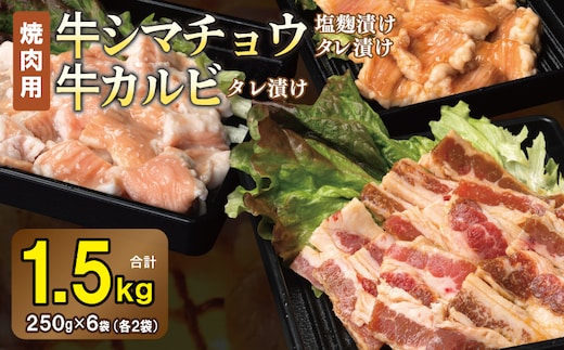 牛シマチョウ（タレ漬け+塩麹）＆タレ漬け牛カルビの焼肉セット 合計1.5Kg（1袋250ｇ×各2袋） 【味付け 小分け 焼くだけ 簡単調理 BBQ 牛肉 ホルモン 250g×6袋】 G3352