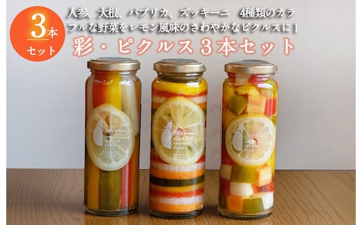 【圧倒的企業努力】彩（いろどり）シリーズ ピクルス 3本セット いずみピクルス NSW 099H3779