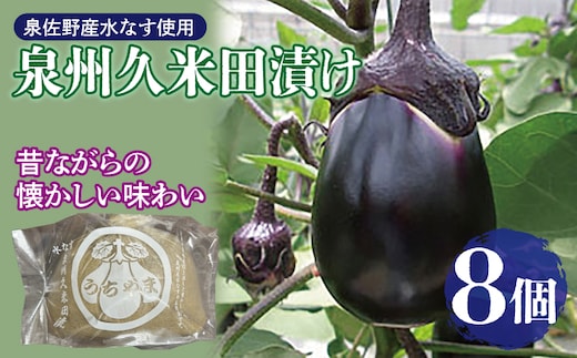 泉州特産 水なす ぬか漬け 8個【泉州久米田漬け 水茄子 なす 旬 野菜 おつまみ 訳あり サイズ不揃い】 010B1710