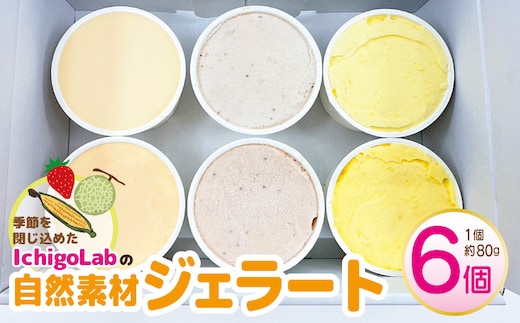 自然素材 ジェラート 6個 食べ比べ【アイス スイーツ 季節のじぇらーと いちご メロン トウモロコシ IchigoLab】 010B1779