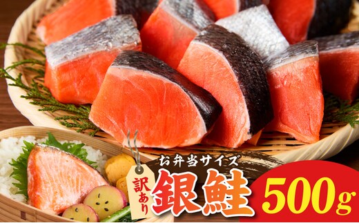 鮭の切り身 500g（11～13切れ）【お弁当 訳アリ 不揃い 切身 サケ さけ しゃけ シャケ 魚介 海鮮 魚 さかな】 010B1932