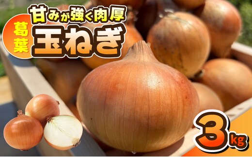 葛葉玉ねぎ 3kg【10玉程度 泉佐野市 泉州たまねぎ 肉厚 甘い 大阪 泉佐野 大阪府 泉佐野市】 010B1965