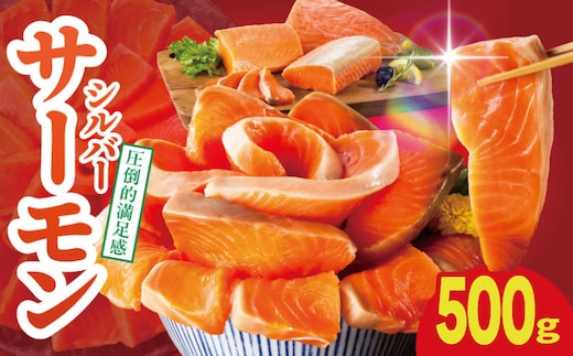 【お試し】サーモン 500g ポーション【訳あり サイズ不揃い 刺身 海鮮丼 さーもん サラダ カルパッチョ 鮭 さけ シャケ しゃけ 人気 小分け 冷凍 家計応援】 010B1969