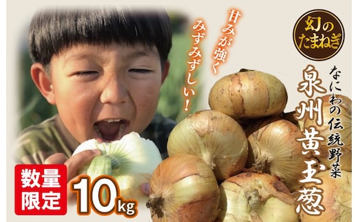 【先行予約】 数量限定 幻のたまねぎ 泉州黄玉ねぎ 10kg【新鮮 野菜 泉佐野産 茄子 やさい 高評価 数量限定】 010B259