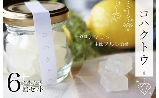 コハクトウおまかせセット 010B375