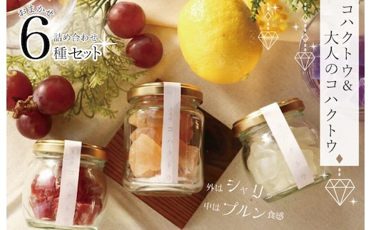 コハクトウ・大人のコハクトウ詰め合わせ 010B377