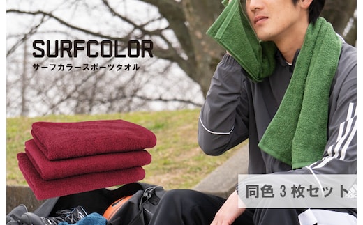 【圧倒的企業努力】コンパクトバスタオル エンジ3枚 G2078-1