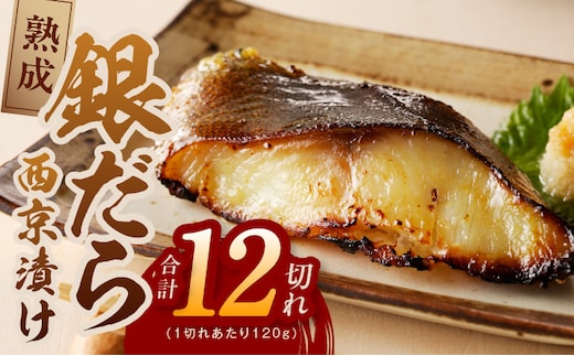 銀鱈 西京漬け 120g×12切れ【厚切り 小分け 熟成 銀だら ぎんだら ギンダラ 海産物 魚 惣菜 西京焼き 味噌 お酒のあて 訳あり サイズ不揃い 家計応援 切り落とし】 kgp0017