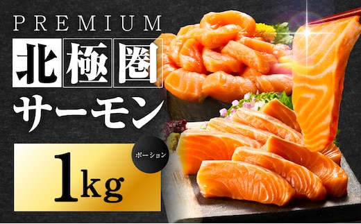 北極圏サーモン ポーション 1kg【高級 小分け 海鮮丼 人気 オススメ 小分け 冷凍 簡単調理 一人暮らし】 015B288