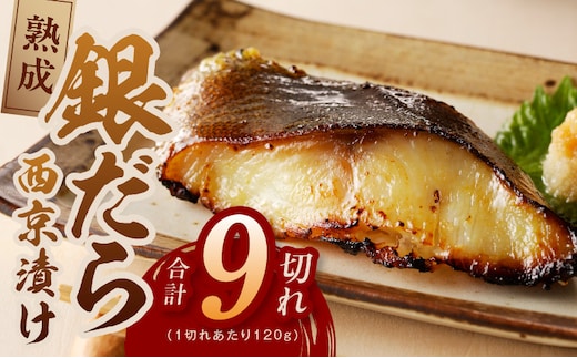 銀鱈 西京漬け 120g×9切れ【厚切り 小分け 熟成 銀だら ぎんだら ギンダラ 海産物 魚 惣菜 西京焼き 味噌 お酒のあて 訳あり サイズ不揃い 家計応援 切り落とし】 kgp0081