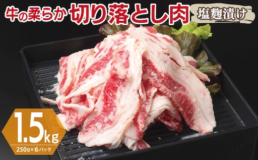 牛肉 切り落とし 塩麹漬け 合計1.5kg【味付け 小分け 焼くだけ 簡単調理 BBQ 牛肉 250g×6袋】 G3361