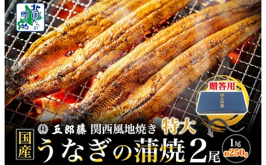 【贈答用】五郎藤 関西風地焼き 国産有頭旨鰻 250g×2尾 計約500g 特大 うなぎ ウナギ 蒲焼き 炭火 015B385-1