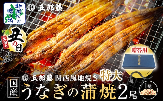 【7/26土用の丑の日】五郎藤 関西風地焼き 国産有頭旨鰻 250g×2尾 計約500g 【贈答用 特大 うなぎ ウナギ 蒲焼き 炭火】 015B385-1d