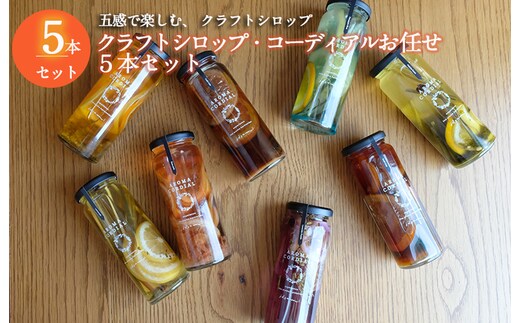 【圧倒的企業努力】クラフト飲料シロップ5本セット いずみピクルス NSW 010B1743