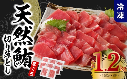 天然まぐろ 切り落とし 1.2kg（150g×8P）【訳あり サイズ不揃い 刺身 海鮮丼 鮪 まぐろ マグロ ユッケ 海鮮 小分け 一人暮らし ファミリー】 015B569-1