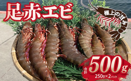 足赤エビ 500ｇ【国産 えび 天然 ぷりぷり 海鮮 水揚げ 生食可】 015B593