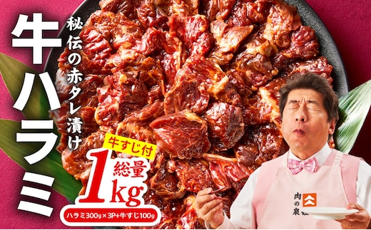 牛ハラミ肉 1kg（ハラミ 300g×3P+牛すじ 100g）【泉州元気ハラミ 秘伝の赤タレ 牛肉 はらみ 小分け 焼肉 訳あり ワケアリ わけあり サイズ不揃い TVで話題】 015B642