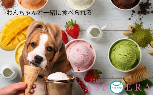 【愛犬と一緒に楽しむ】 贅沢 ジェラート 12個 セット 詰め合わせ 無添加 (季節のジェラート6個 ＆ わんちゃん専用6個) 015B657