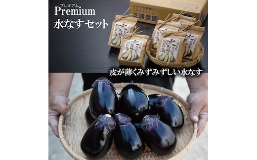 Premium水なすセット【新鮮 野菜 泉佐野産 茄子 やさい 高評価 数量限定】 020C066
