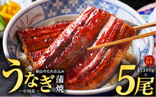 秘伝のたれ仕込み うなぎ蒲焼 合計800g（約160ｇ×5尾）鰻 ウナギ 中国産 温めるだけ 簡単 レンジ調理 ふっくらふわふわ 炭火焼き 備長炭 手焼き kgp0020