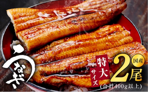 特大サイズ 国産うなぎ 2尾 合計400g以上 kgp0022