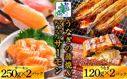 【食べ比べ】五郎藤 国産 有頭旨鰻 120g×2尾 ＆ アトランティックサーモン 250g×2P【人気 食べ比べ 数量限定 丼 小分け 北国からの贈り物】 020C503