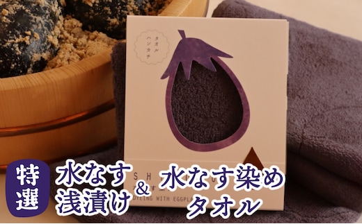 水なす浅漬け5個と水なす染め泉州タオルセット【新鮮 野菜 泉佐野産 茄子 やさい 高評価 数量限定】 020C568