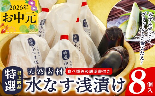 【お中元対応】「特選最上級品」天然素材水なす浅漬け8個入 020C569t