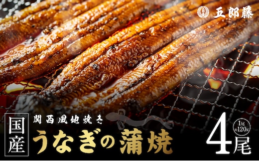 老舗「五郎藤」関西風地焼き 国産有頭旨鰻 120g×4尾 計約480g 前後 うなぎ ウナギ 蒲焼き 炭火 020C618