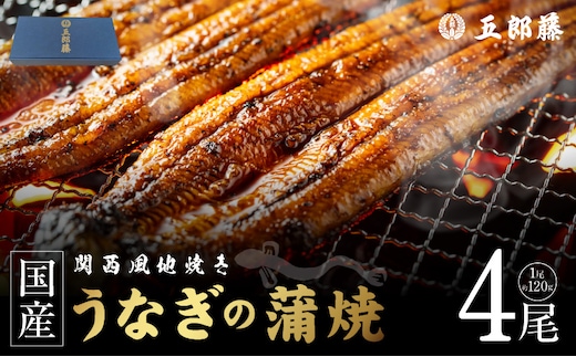 【贈答用】五郎藤 関西風地焼き 国産有頭旨鰻 120g×4尾 計約480g うなぎ ウナギ 蒲焼き 炭火 020C619