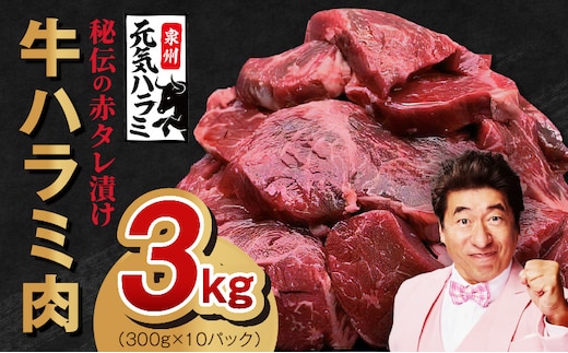 【TVで紹介！】牛ハラミ肉 3kg（300g×10）秘伝の赤タレ漬け 訳あり サイズ不揃い 099H4053