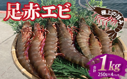 足赤エビ 1kg【国産 えび 天然 ぷりぷり 海鮮 水揚げ 生食可】 030D229