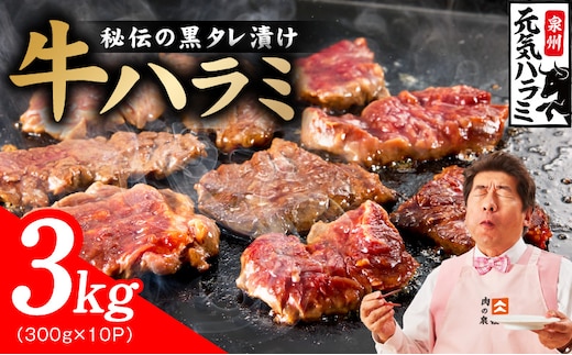 【新登場】極旨黒ダレ 牛ハラミ肉 3kg（300g×10P）【牛肉 はらみ 小分け 焼肉 お弁当 BBQ 訳あり ワケアリ わけあり サイズ不揃い 規格外 TVで話題 大阪 泉佐野 大阪府 泉佐野市】 030D278