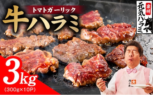 【新登場】トマトガーリック 牛ハラミ肉 3kg（300g×10P）【牛肉 はらみ 小分け 焼肉 お弁当 BBQ 訳あり ワケアリ わけあり サイズ不揃い 規格外 TVで話題 大阪 泉佐野 大阪府 泉佐野市】 030D279