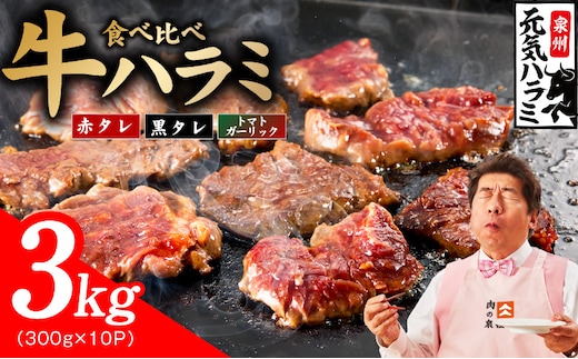【3種食べ比べ】牛ハラミ肉 3kg（300g×10P）【牛肉 はらみ 小分け 焼肉 お弁当 BBQ 訳あり ワケアリ わけあり サイズ不揃い 規格外 TVで話題 大阪 泉佐野 大阪府 泉佐野市】 030D280