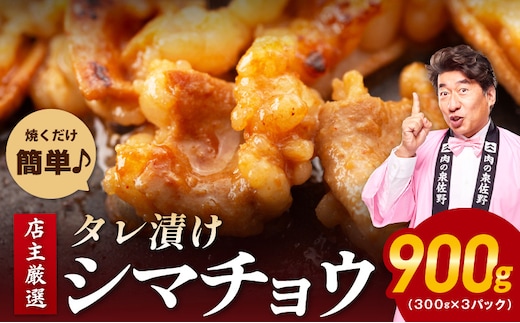 シマチョウ タレ漬 900g(300g×3パック) テッチャン シマ腸 小分け 時短 焼くだけ 簡単 099H3171