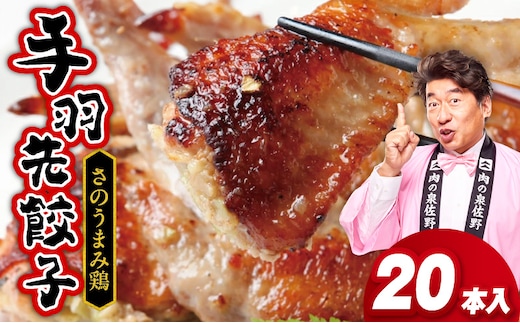 手羽先餃子20本 (10本×2袋) 日本料理屋のお惣菜 さのうまみ鶏 小分け 099H3104