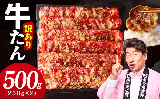 牛たん 500g ねぎ塩 小分け 250g×2P【お試し 成型 牛タン 牛肉 焼肉 BBQ 薄切り ぎゅうたん スライス 訳あり サイズ不揃い】 099H4737