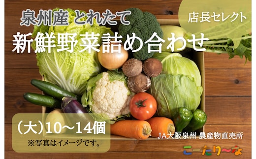 JA大阪泉州 直売所店長セレクト 新鮮野菜セット【10～14個 詰め合わせ 泉佐野産 とれたて 新鮮野菜 やさい 高評価 数量限定】 099H139