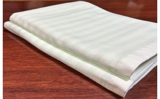 国内製造 ガーゼバスタオル 2枚（グリーン）薄手 60×120cm【泉州タオル 国産 吸水 普段使い シンプル 日用品】 099H1452