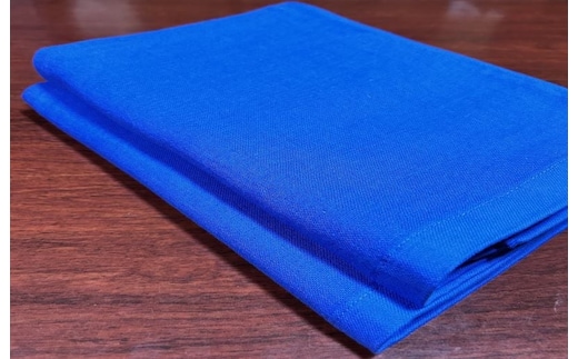 国内製造 ガーゼバスタオル 2枚（ブルー）薄手 60×120cm【泉州タオル 国産 吸水 普段使い シンプル 日用品】 099H1456