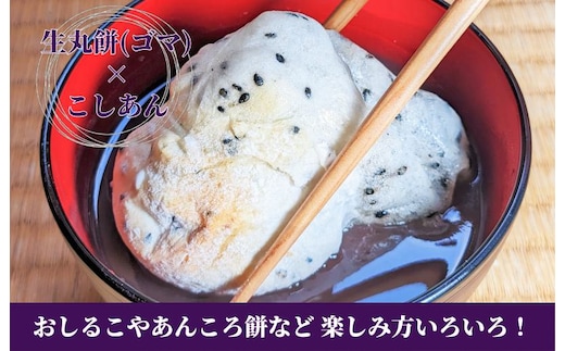 老舗和菓子屋さんの杵つき生丸餅（ゴマ）12個＆こしあん 200g×3セット 099H4030