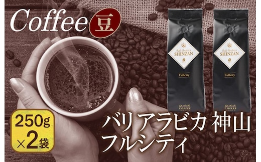 バリアラビカ神山フルシティ 250g×2袋／豆 099H1850